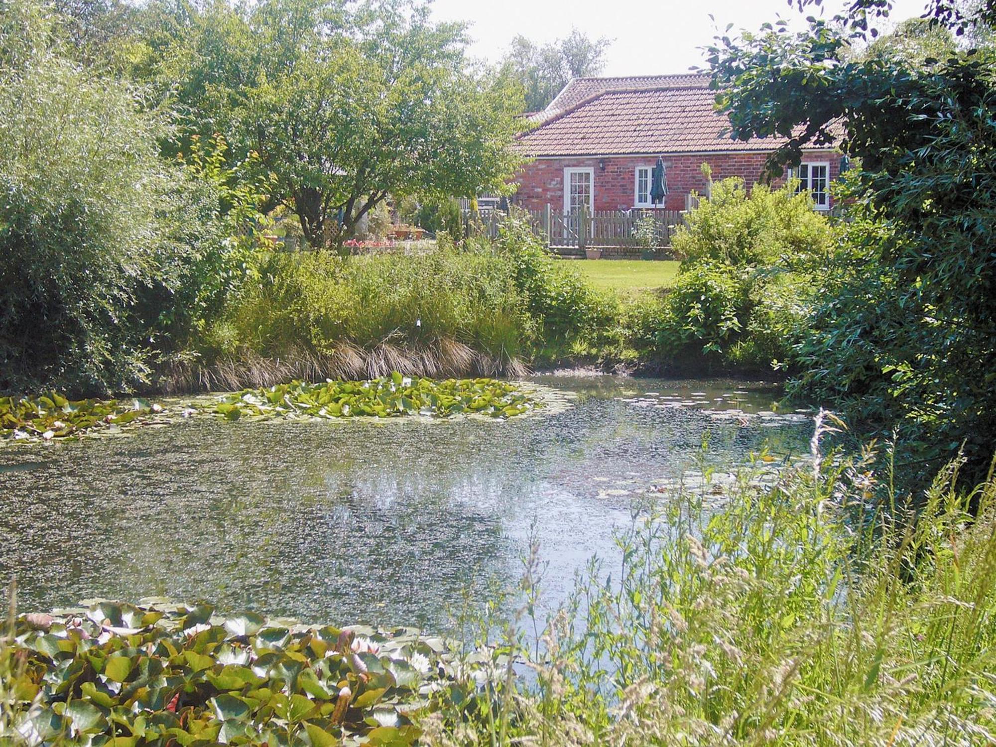 Curlew Cottage - E3752 Leverton  المظهر الخارجي الصورة